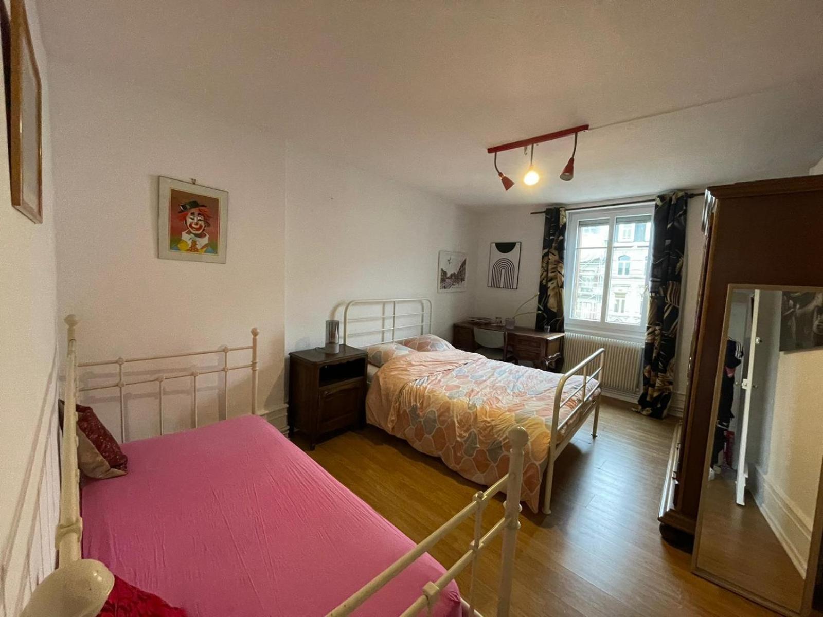 Spacious Apartment City Centre Στρασβούργο Εξωτερικό φωτογραφία