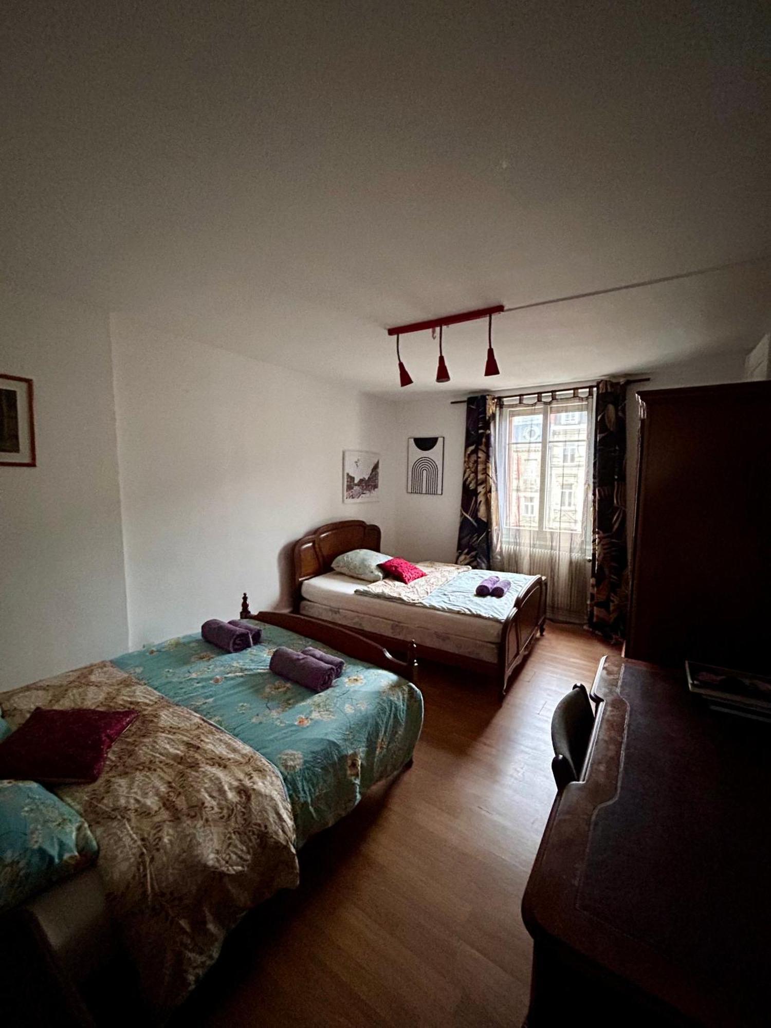 Spacious Apartment City Centre Στρασβούργο Εξωτερικό φωτογραφία