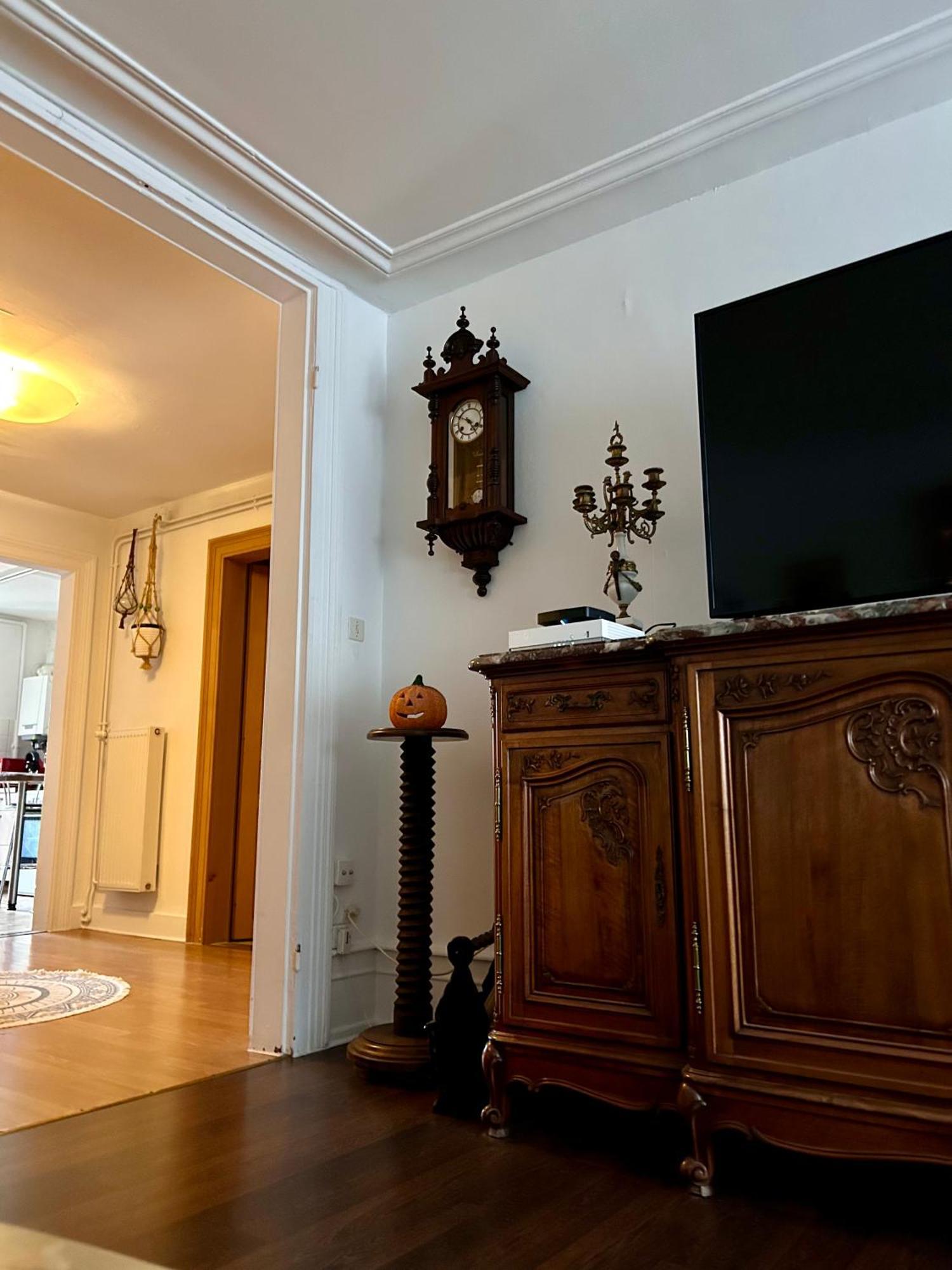 Spacious Apartment City Centre Στρασβούργο Εξωτερικό φωτογραφία
