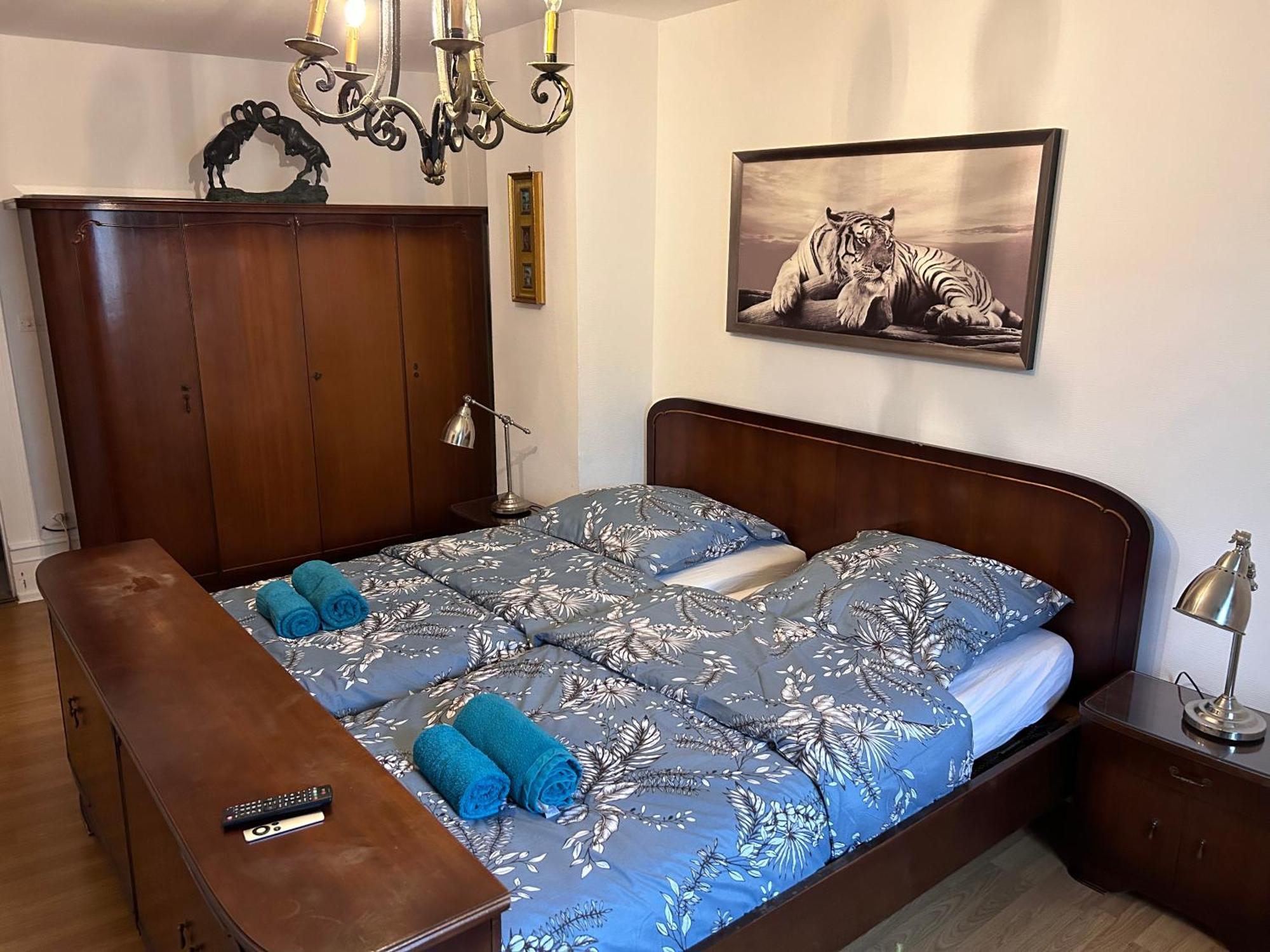 Spacious Apartment City Centre Στρασβούργο Εξωτερικό φωτογραφία
